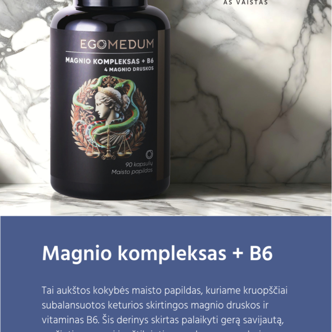 Magnis +B6
